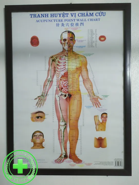 Tranh%20ch%C3%A2m%20c%E1%BB%A9u%20huy%E1%BB%87t%20v%E1%BB%8B%20-%20Image%203