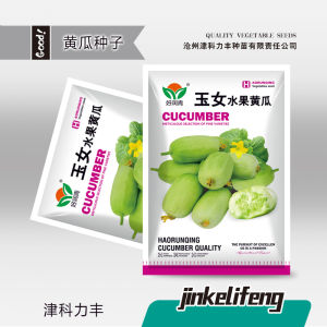 Factory Wholesale Jade Girl Fruit Cucumber SeedsCream Thumb Cucumber QQ Sweet and Crunchy Thorn-Free Four Seasons Seed