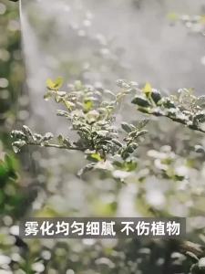 Bình Tưới Điện Cùng Kiểu Douyin Bình Tưới Có Thể Sạc Lại Pin Lithium Bình Tưới Hoa Gia Dụng Nhỏ Bình Tưới Hoa Làm Vườn