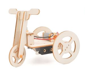 SG STOCK DIY Assemble Tricycle for Kids STEM Science Engineering Experiment Set Building Assembly Toy for Children Educational Toys