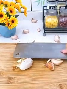 Manual food chopper Mini garlic press Manual garlic chopper Portable meat chopper