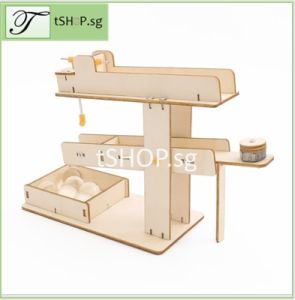 STEM Education Toy DIY Seesaw with ball for Kids Science Experiment Set Building Assembly Toy For Children [SG STOCK]