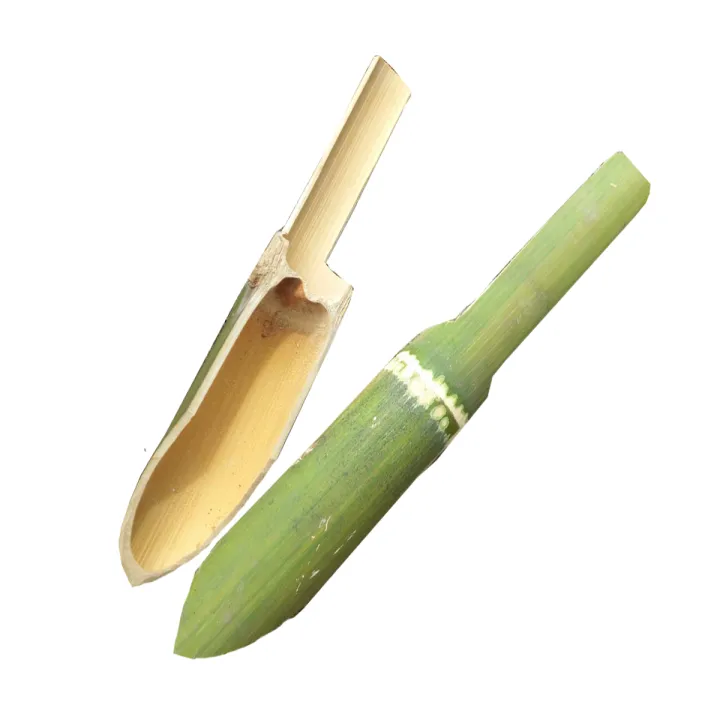 7 สุดยอดเครื่องมือทำสวนและงานฝีมือไม้ไผ่ที่ต้องมีในปี 2025