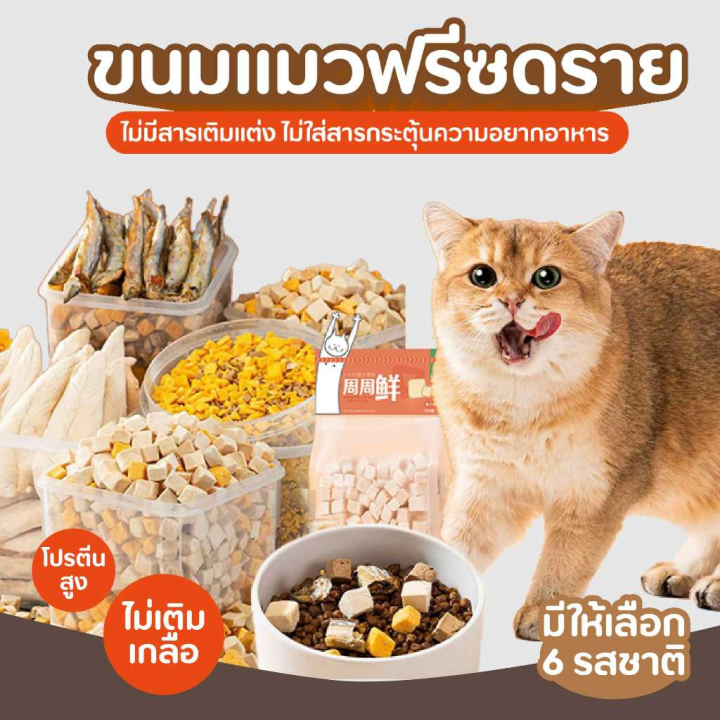 ฟรีซดราย ขนมแมวโปรตีนสูง ไม่เติมเกลือ