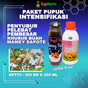 Pupuk Mamey Sapote / Pupuk Khusus Buah Mamey Sapote / Pupuk Pelebat Buah Mamey Sapote / Pupuk Pembesar Buah Mamey Sapote / Pupuk Sawo