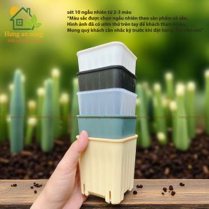 CVSOC8CM - 10 chậu vuông sọc 8cm dầy chất liệu nhựa PP xịn - trồng sen đá bonsai xương rồng có 5 màu chọn