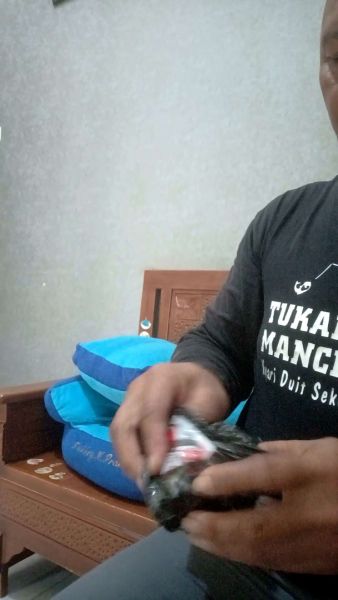 Buyer review video 2