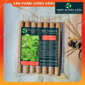 Nhang Ngãi Cứu Đại Hội Quán Bùi Quốc Châu - Thiết Bị Diện Chẩn