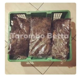 Barang Ekspor Daun Ketapang Laut Berat Bersih 100 Gram 100gram 100gr