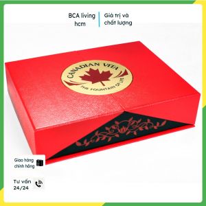 Nhân Sâm Củ Khô Canadian Vita 200g Ginseng Roots bcalivinghcm (kèm túi) tăng cường sức đề kháng bồi bổ sức khỏe tốt