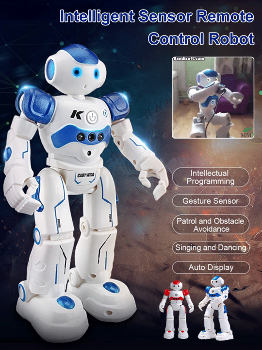 Smart Gesture Sensing Remote Control Robot Electric Remote Control Toy ...