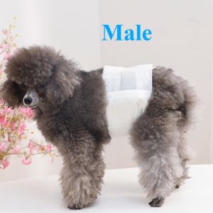 SG Pet Diaper Female/Male Dog Diaper Dog Wraps Puppy Diapers