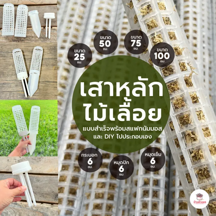 เสาหลักสแฟกนัมมอส สำเร็จรูปและ DIY