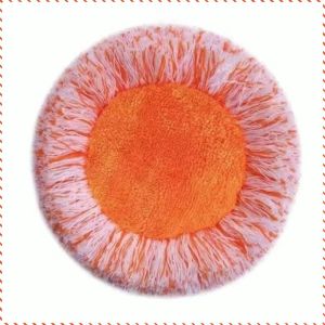 เครื่องมือทําความสะอาด ล้างรถ มัลติฟังก์ชั่น ไม้ถูพื้นทําความสะอาด เรียบง่ายและใช้งานได้จริง แก้วบ้าน