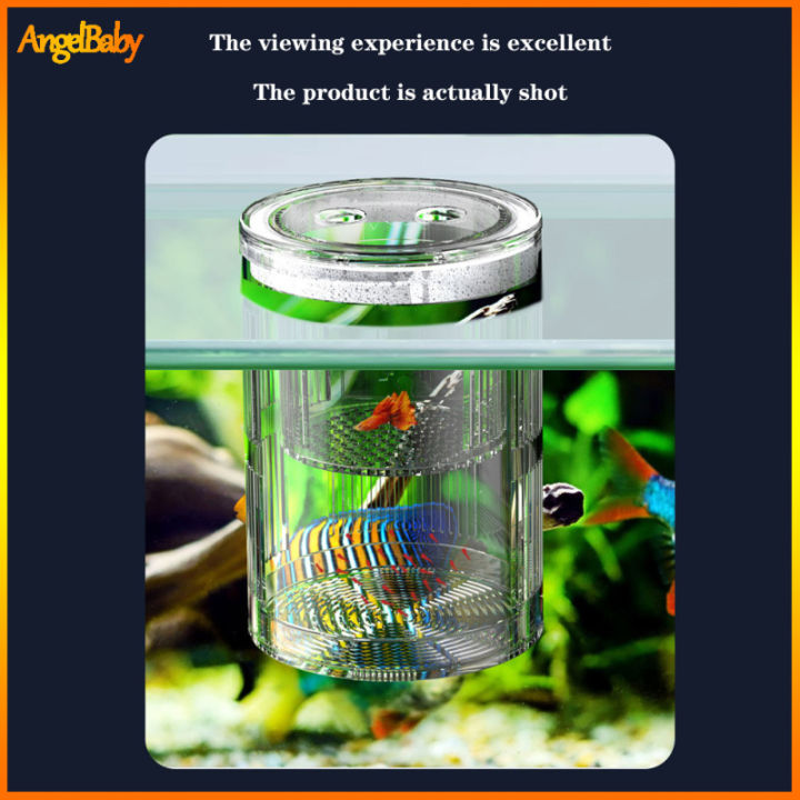 Image showcasing Fish Breeding Box, Fish Tank Isolation Box With Suction Cups, Aquarium ...