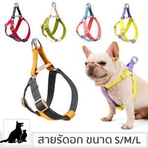 Doglemi สายรัดอก รัดอกสุนัข สีพาสเทล สายจูงสุนัข สำหรับหมาและแมว Dog Harness CleverPet