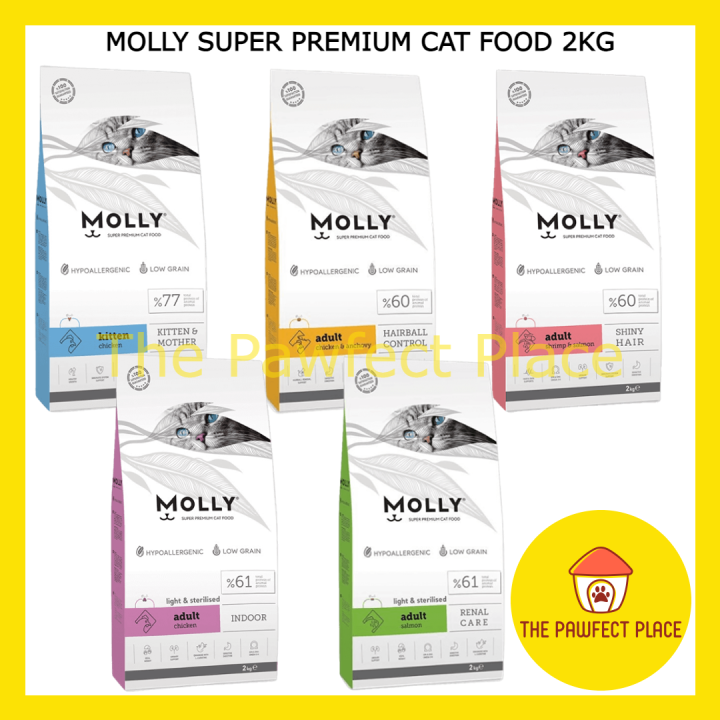 Molly kitten outlet food