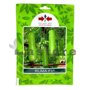 Benih Labu Air RUMA F1 Isi 30 Butir Cap Panah Merah