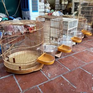 🐦💧 Hộp Tắm Cài Lồng Cho Chim Chào Mào – Chim Khuyên | Bền Đẹp – Gọn Nhẹ – Tiện Lợi – Dễ Lắp