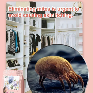 母婴安全花香樟脑丸 Floral Scent Moth Balls Clothes Remove Odor Anti-Mites Camphor Mothball Insect Repellent and Mildew-Proof Camphor Wood Ball 持久留香 家用无毒