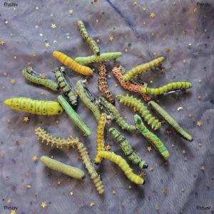 [COD] fhsav 6 12Pcs Halloween Caterpillars Hair Barrettes Strong Grip Insect Hair Clips Multicolor Crawl Insect Pattern Hair Accessories