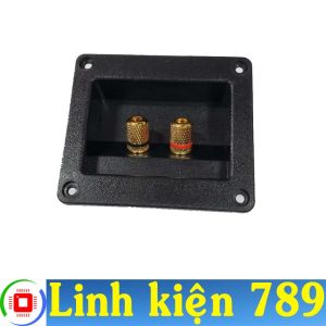 Trạm loa vuông V1 - Linh Kiện 789