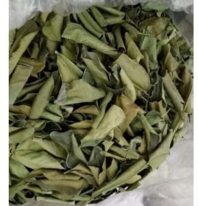 Daun Jeruk Nipis Kering Alami / Daun Kering Jeruk Nipis