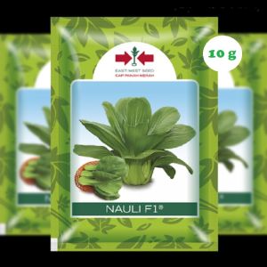 Benih Pakcoy Hijau Nauli F1 Isi 10 Gram Cap Panah Merah