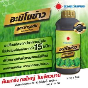 ปุ๋ยน้ำ อะมิโนข้าว สูตรบำรุงต้น ช่วยแตกกอ ใบเขียว ใบสมบูรณ์ ขนาด 1 ลิตร ดวงตะวันเพชร ข้าวแตกใบเขียว ใบตั้ง ช่วยฟื้นฟูปรับสภาพดินให้ร่วนซุย