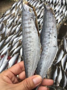 Khô Cá Thu Đã Bỏ Đầu Vị Vừa Ăn KHÔNG MẶM - TÚ VY FOOD