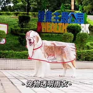 Waterproof Transparent Dog Raincoat Puppy Hoodie Clothes for Shih Tzu Cat Jacket
