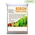 BORON FERTILIZER for rooting and fruit development. 