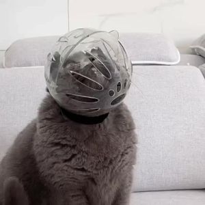 Cat Astronaut Head Cover Anti Bite Recovery Cat Muzzle Cat Space Hood猫宇航员头罩防咬伤恢复保护猫口鼻猫空间帽。。。