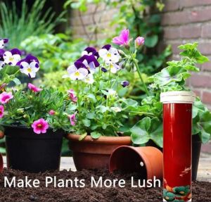 6 Bags Quick Growth Fast Rooting Powder Rooting Hormone Powder Improve Flowering Cutting Survival Rate