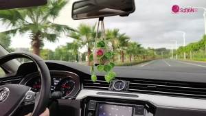 Crochet Hanging Plant for Car Handmade Car Decor