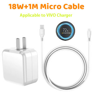 【IN STOCK】🔥FOR VIVO 18W/33w/80w Vivo Fast Charger Micro USB Cable For vivo y11 y12s y20i y1s y31 y20s Y19/Y20i FOR VIVO 18W/33w/80w Vivo Fast Charger Micro USB Cable For vivo y11 y12s y20i y1s y31 y20s Y19/Y20i