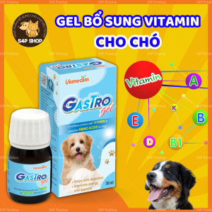 Gastro Gel hỗ trợ tiêu hóa kích thích thèm ăn cung cấp đầy đủ dưỡng chất vitamin thiết yếu hàng ngày cho chó mèo