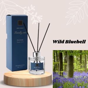 Scent Out New big 100ml Premium Essential oil Reed Diffuser Room Fragrance Aromatherapy Aroma Diffuser Malaysia stock