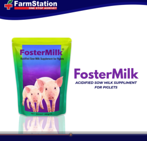 Foster Milk 500gms / Milk Supplement
