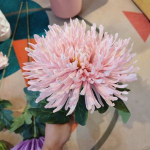 Hoa Cúc Chỉ Bông To Giống Y Thật Trang Trí Decor Hàng Nhập Loại 1 Cao Cấp Trùm Sỉ Gia Thành