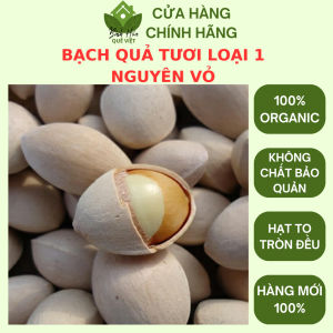 Bạch Quả Tươi Loại 1 không tẩy nguyên vỏ hạt nặng Gói 500g