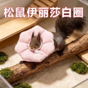 SOTOP Soft Ferret Squirrel Recovery Collar Drawstring Adjustable Protective Neck Cone Anti-Slip Waterproof Small Pet Elizabeth Collar Hamster Guinea Pig Meerkat