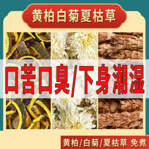 【降火清热解毒】白菊花夏枯草黄柏养生茶养肝护肝熬夜 Tea Bag
