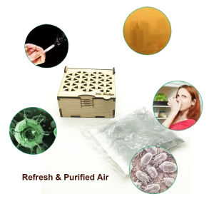 Ugent Nano Carbon Odor Absorber with Wooden Box | 50g | Natural Air Purifier