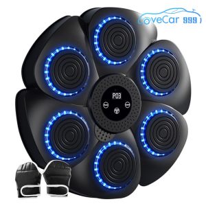 Boxing Reaction Wall Target - Music Kicking Target for Kids and Adults with Type C Charging
