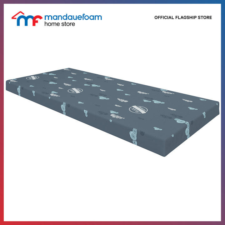 Mandaue Foam Flex Foam Mattress Lazada PH
