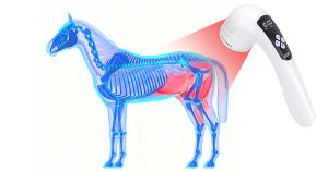 810nm Veterinary Infrared Therapy Lamp for Pet Arthritis Pain Relief Dog Cat Horse Veterinary Instrument