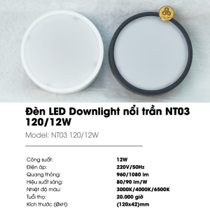 (Rạng Đông) Đèn LED Downlight nổi trần tròn Viền trắng/Đen 10W 12W Trang trí Sáng trắng Đổi màu NT03