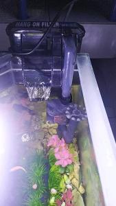 Filter Gantung Aquarium Nikita Star NS 05 Untuk Aquascape Atau Akuarium Kecil Aksesoris Pompa Waterpump Hanging Full Set Penjernih Air Penyedot Kotoran Tanpa Kuras Sirkulasi Produk Original Murah