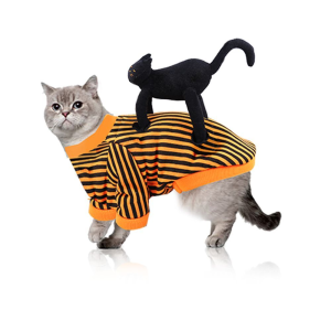 Halloween Pet Costume Standing Black Cat Outfit for Small Dogs and Cats Teddy Bichon Frise French Bulldog